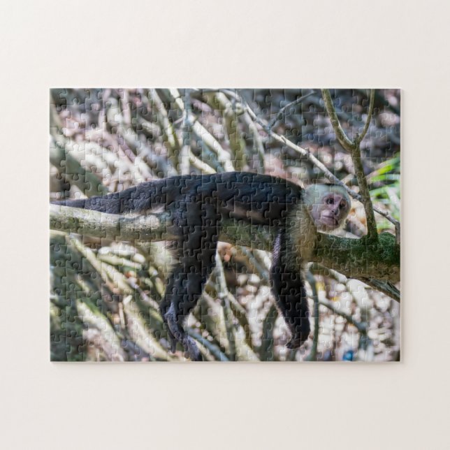 Pura vida for White headed capuchin monkey Jigsaw Puzzle (Horizontal)