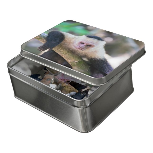 Pura vida for White headed capuchin monkey Jigsaw Puzzle (Lid Open)