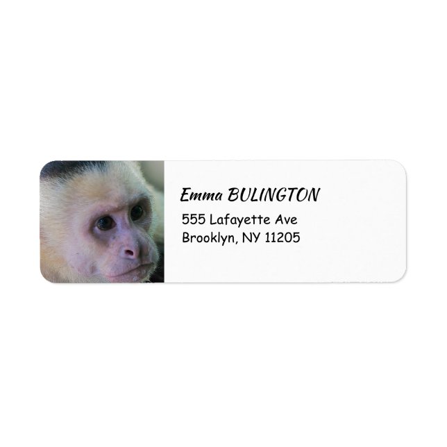 Pura vida for White headed capuchin monkey Label (Front)