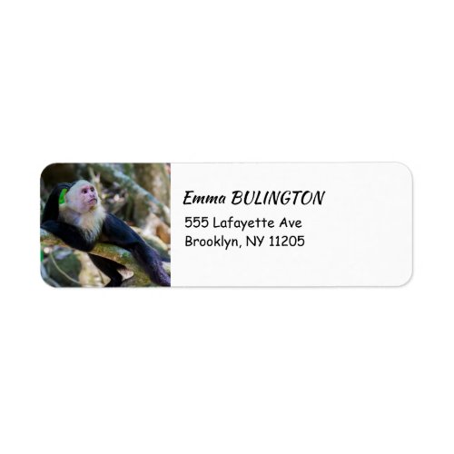 Pura vida for White headed capuchin monkey Label