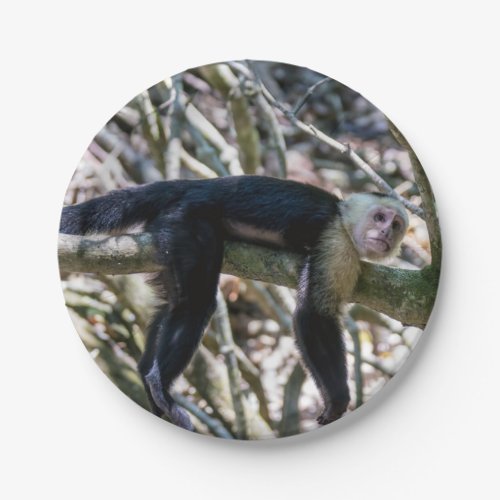 Pura vida for White headed capuchin monkey Paper Plates