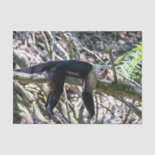 Pura vida for White headed capuchin monkey Tissue Paper