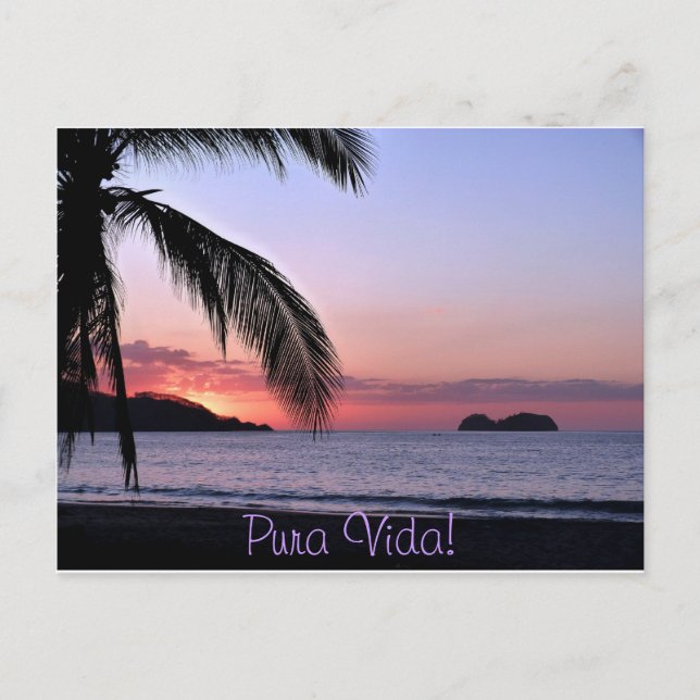 Pura Vida! Postcard (Front)
