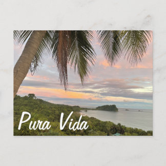 Pura Vida Postcard