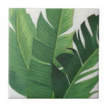 Pura Vida - Tropical Leaves Ceramic Tile<br><div class="desc">"Pura Vida II" Grace Popp. Features tropical greenery against a soft background.</div>