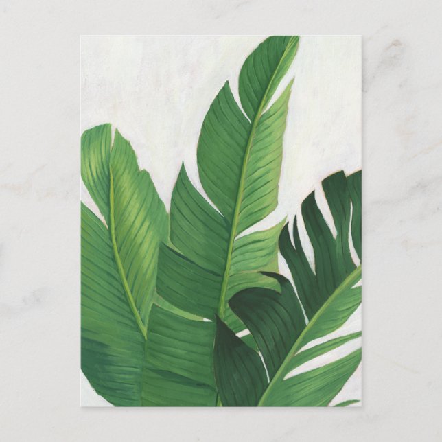 Pura Vida - Tropical Leaves Postcard (Front)