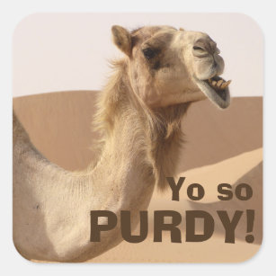 Purdy Camel Square Sticker