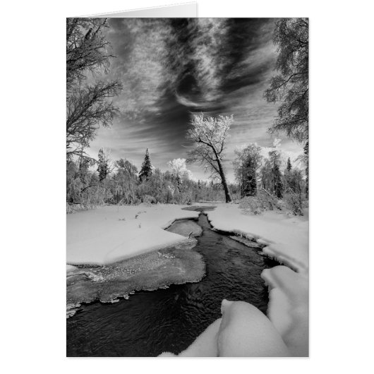 Pure Campbell Creek (Front)