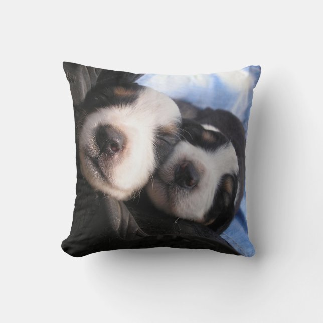 Pure Contentment Throw Pillow (Front)