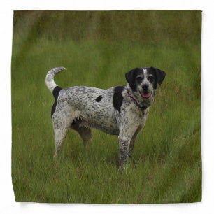 Pure Joy Bandana