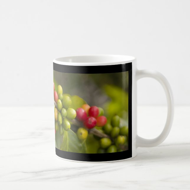 PURE KONA COFFEE COFFEE MUG (Right)