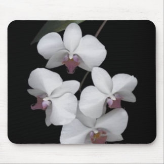 Pure Mouse Pad