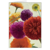 Pure Palette Zinnias (Front)