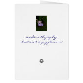 Pure Pink Cards (Back)