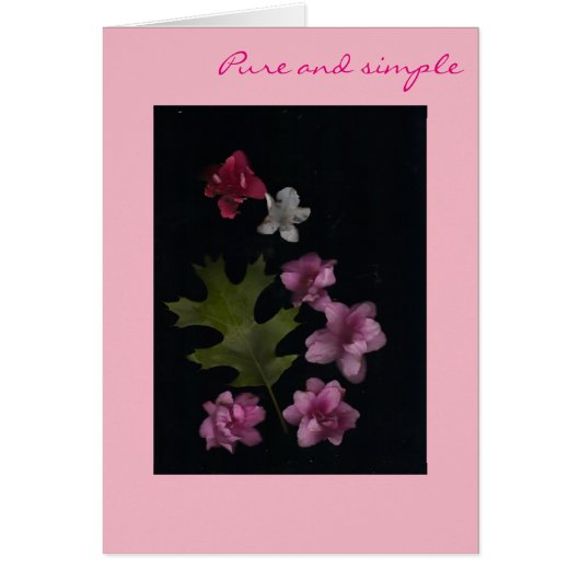 Pure Pink Cards (Front)