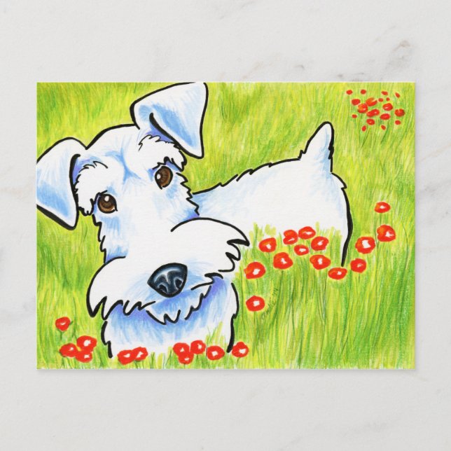 Pure Schnauzer Postcard (Front)