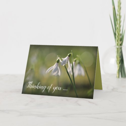 Pure White Snowdrops in Spring Card