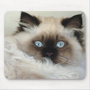 Purebred Birman Fluffy Cat Mousepad