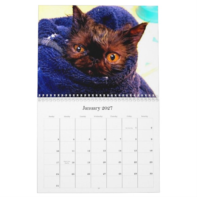 Purebred Cat Breed Rescue Calendar (Jan 2027)