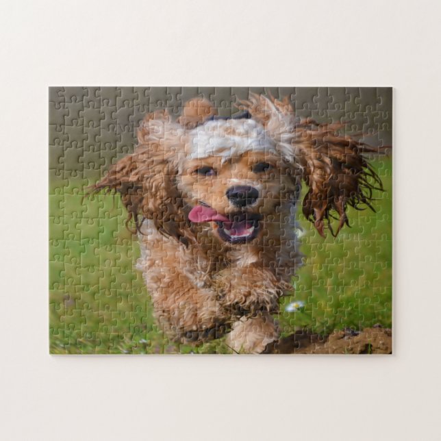 Purebred Cocker Dogs. Jigsaw Puzzle (Horizontal)