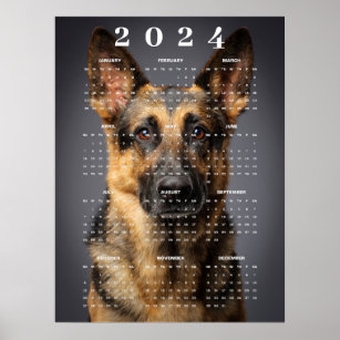Purebred German Shepherd Dog Photo 2024 Calendar Poster