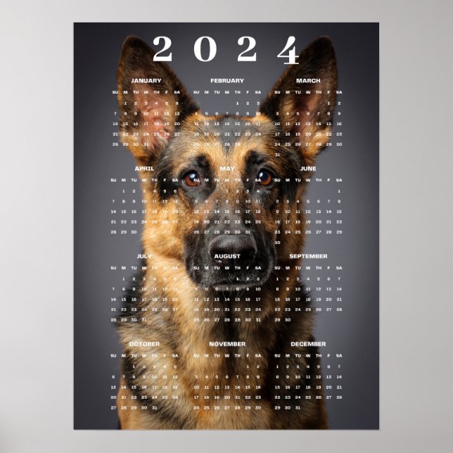 Purebred German Shepherd Dog Photo 2024 Calendar Poster (Front)