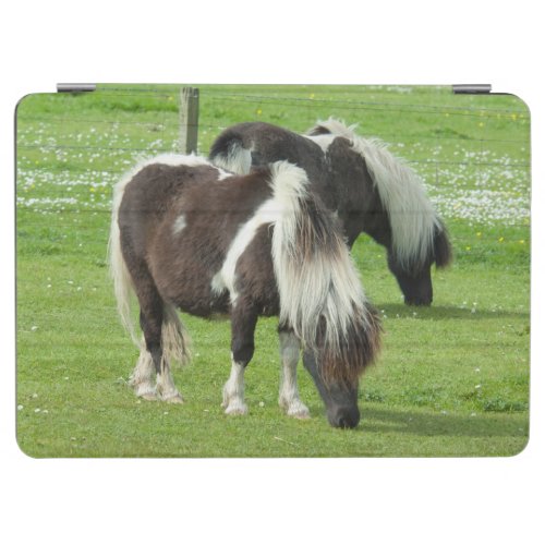 Purebred Shetland Paint Ponies iPad Air Cover