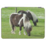 Purebred Shetland Paint Ponies iPad Air Cover