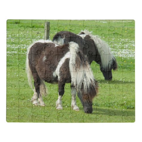 Purebred Shetland Paint Ponies Jigsaw Puzzle