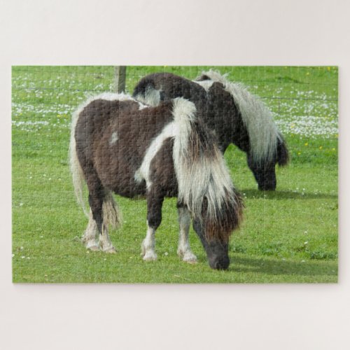 Purebred Shetland Paint Ponies Jigsaw Puzzle