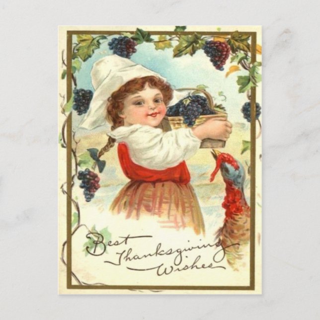Puritan Girl Picking Grapes Postcard (Front)