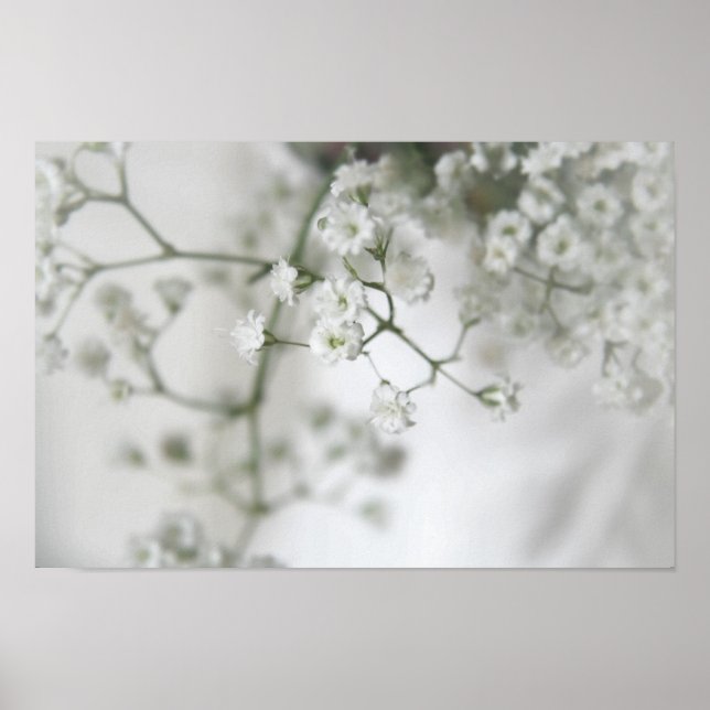 Purity Canvas Print (Front)