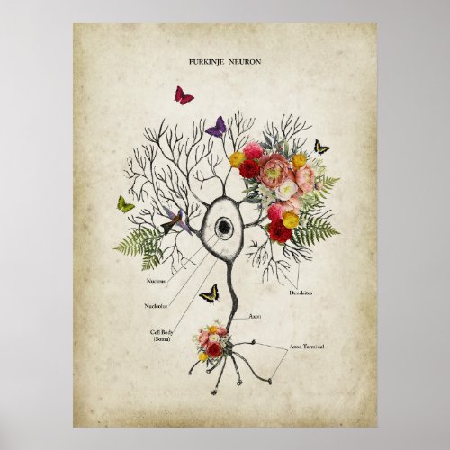 Purkinje Cell Neuron Anatomy with Flowers Poster