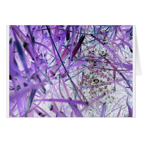 Purpel Haze Card