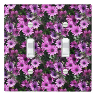 Purple African Daisies Floral Pattern Light Switch Cover