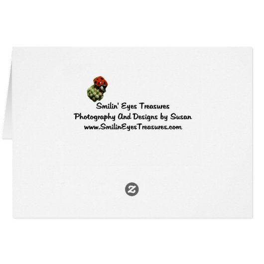 Purple African Daisies Floral Photo Card (Back Horizontal)
