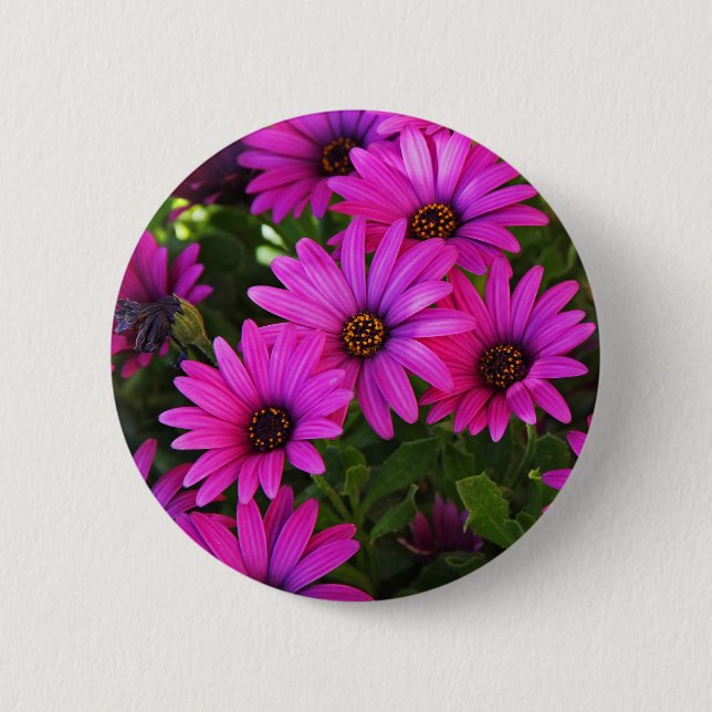 Purple African Daisy Button (Front)