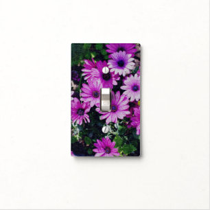 Purple African Daisy Flower Art Light Switch Cover