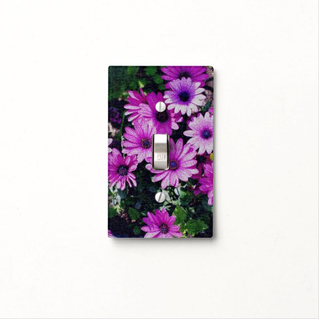 Purple African Daisy Flower Art Light Switch Cover (In Situ)