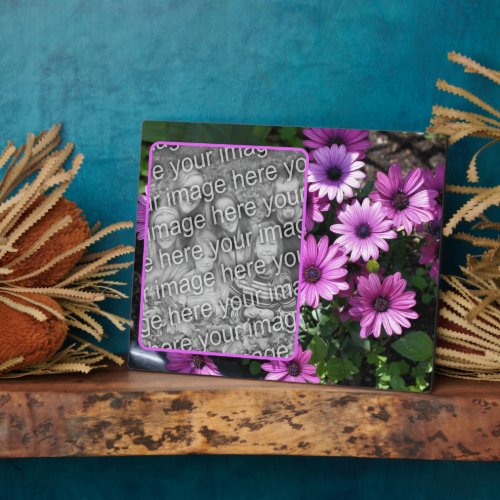 Purple African Daisy Flowers Add Your Own Photo Plaque