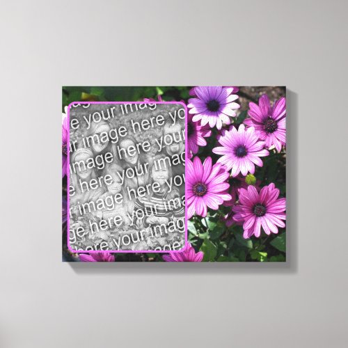 Purple African Daisy Flowers Create Your Own Photo Canvas Print