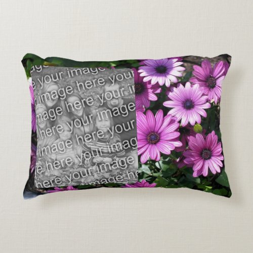 Purple African Daisy Flowers Frame Add Your Photo Accent Pillow