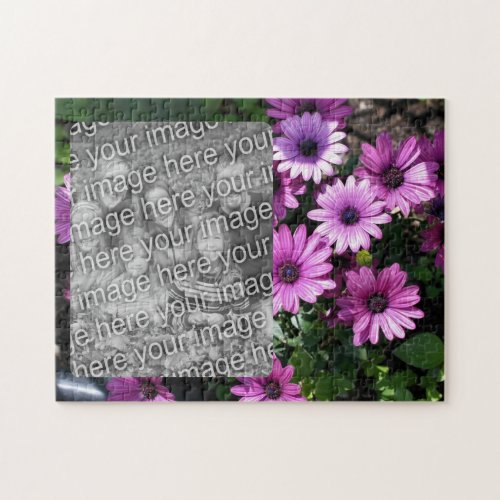 Purple African Daisy Flowers Frame Add Your Photo Jigsaw Puzzle