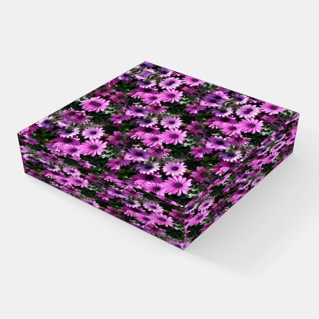 Purple African Daisy Flowers Nature Art Paperweight (Angled)