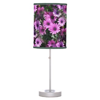 Purple African Daisy Flowers Nature Pattern   
