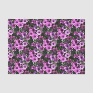 Purple African Daisy Flowers Nature Pattern Tissue Paper