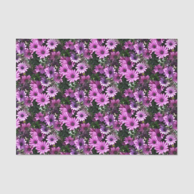 Purple African Daisy Flowers Nature Pattern    Tissue Paper (Front)