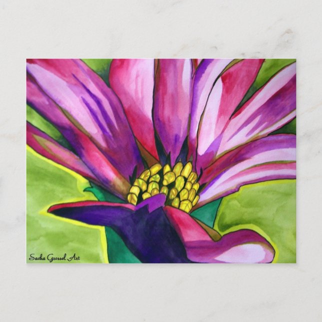 Purple African Daisy watercolor art flower Postcard (Front)