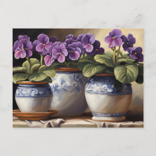 Purple African Violet Plants in the Pots Postcard