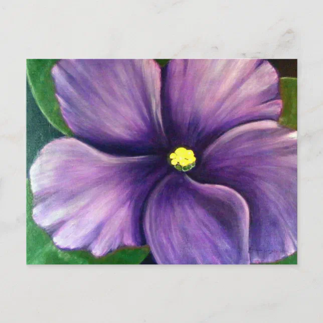 Purple African Violet Postcard | Zazzle